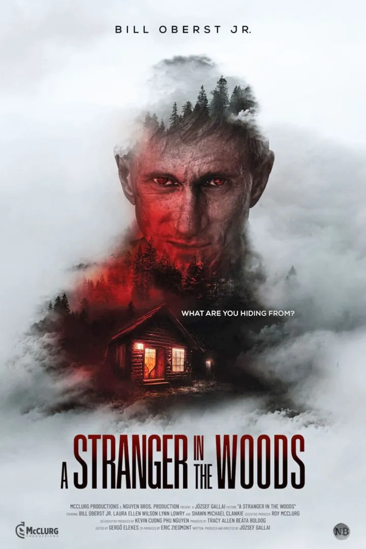 A Stranger In The Woods